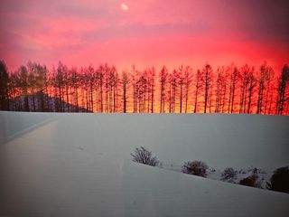 최도윤(중고농기계)님의 최근 내가 구매한 것은? · 참여글 작성글 사진