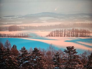 최도윤(중고농기계)님의 최근 내가 구매한 것은? · 참여글 작성글 사진