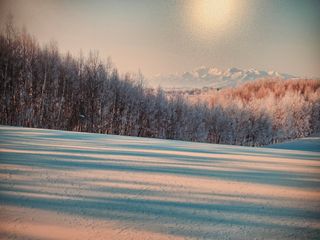 최도윤(중고농기계)님의 최근 내가 구매한 것은? · 참여글 작성글 사진