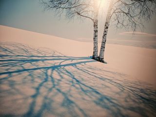 최도윤(중고농기계)님의 최근 내가 구매한 것은? · 참여글 작성글 사진