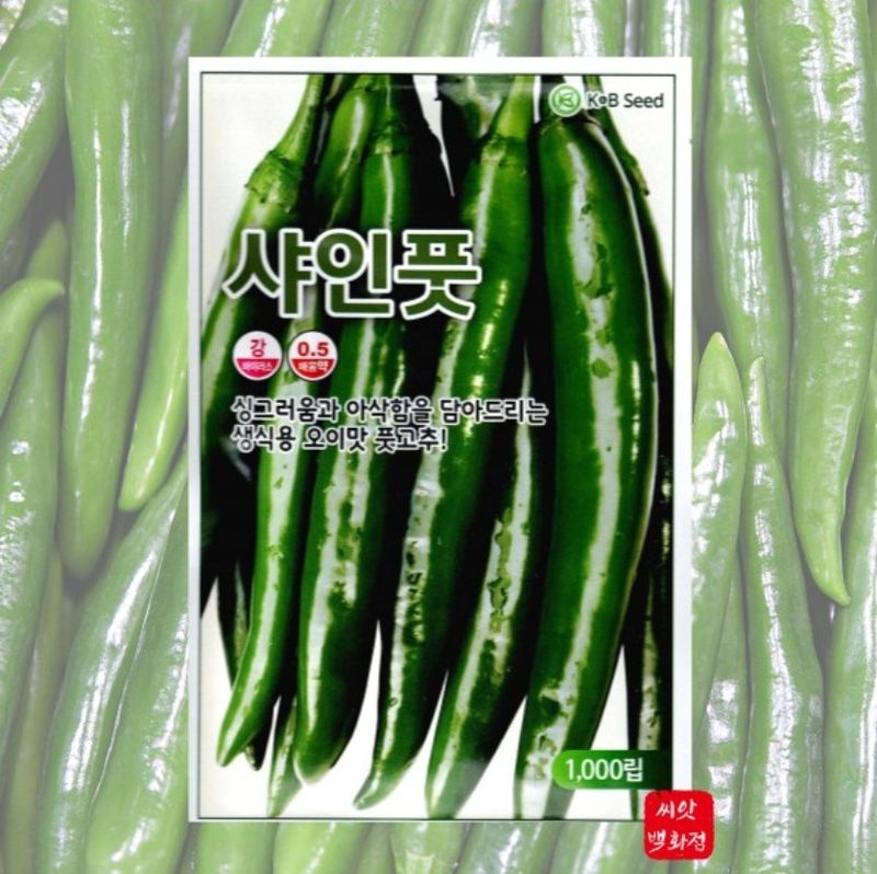 대산농사대장님의 장터 판매 상품 [풋고추 오이맛 1000립  ] 첨부 사진