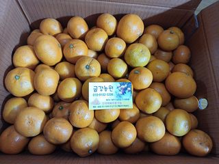 마늘 복숭아윤금자님의 최근 내가 구매한 것은? · 참여글 작성글 사진