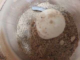 실로암농원님의 자유주제 · 자유게시판 작성글 사진