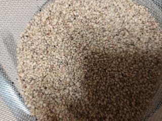 실로암농원님의 자유주제 · 자유게시판 작성글 사진