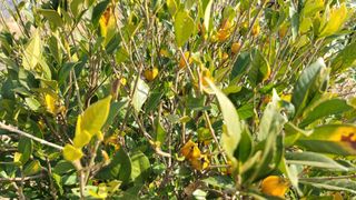 렛투스 님의 자유주제 · 자유게시판 작성글 사진