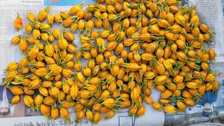 렛투스 님의 자유주제 · 자유게시판 작성글 사진