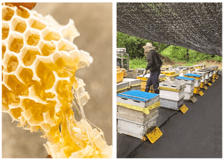 손정훈님의 작성글 사진