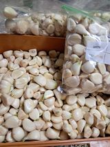 팜모닝 최근 내가 구매한 것은?·참여글 게시글 이미지