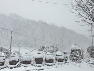 천안님의 우리동네 · 동네정보 작성글 사진