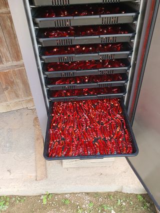 심수보 님의 팜모닝 · 출석 작성글 사진