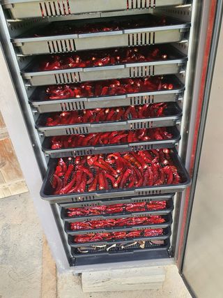 심수보 님의 팜모닝 · 출석 작성글 사진