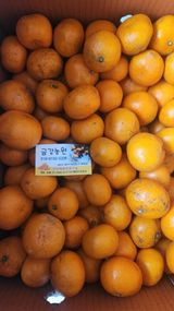 팜모닝 최근 내가 구매한 것은?·참여글 게시글 이미지