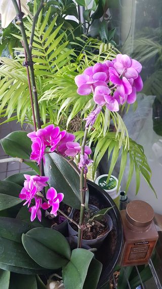 심상화님의 최근 내가 구매한 것은? · 참여글 작성글 사진