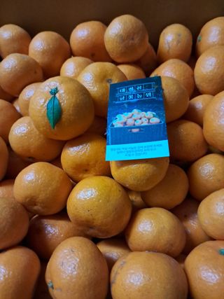 김재희님의 최근 내가 구매한 것은? · 참여글 작성글 사진