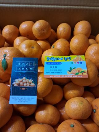 김재희님의 최근 내가 구매한 것은? · 참여글 작성글 사진