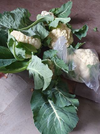 구성휘님의 기타작물 · 자유게시판 작성글 사진