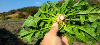 권희석 섬초님의 작성글 사진