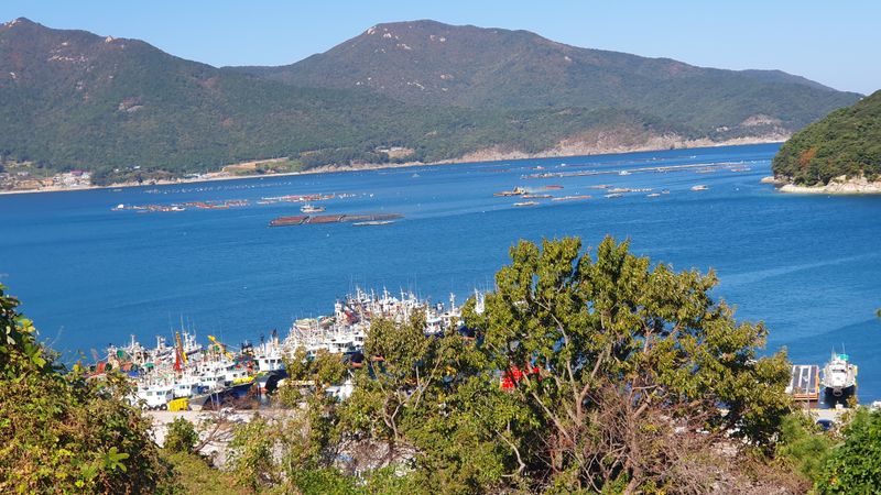 송죽암님의 장터 판매 상품 [강황(울금) 분말  1kg(판매완료)] 첨부 사진