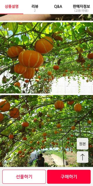 이덕훈(바쁜사람)님의 자유주제 · 자유게시판 작성글 사진