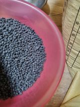 팜모닝 · 게시글 이미지