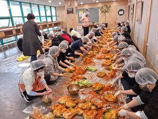 신수현님의 배추 · 일상 작성글 사진