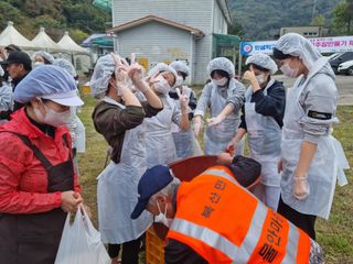 신수현님의 배추 · 일상 작성글 사진