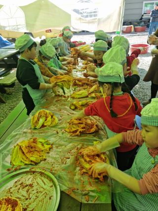 신수현님의 배추 · 일상 작성글 사진