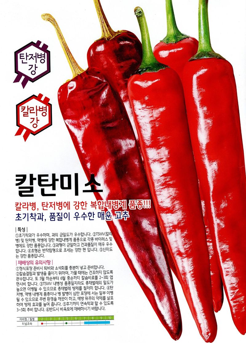 대산농사대장님의 장터 판매 상품 [칼탄미소 복합내병계 1200립  초특가 40프로 할인] 첨부 사진