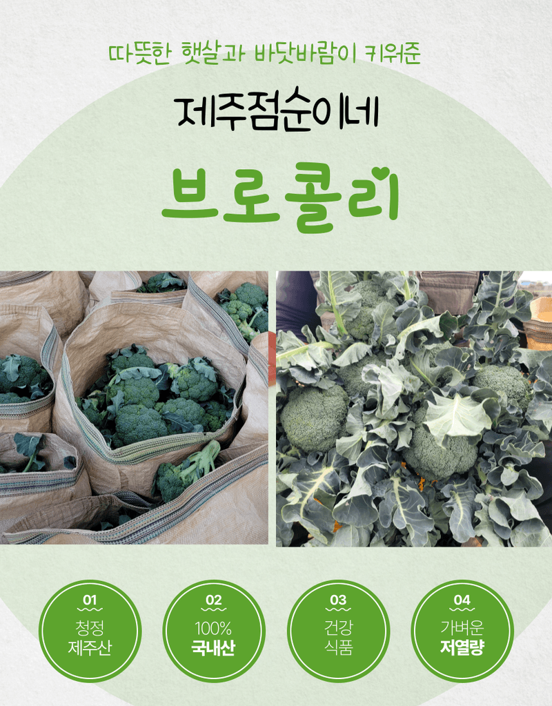 제주대정 방점순님의 장터 판매 상품 [제주브로콜리  5kg] 첨부 사진