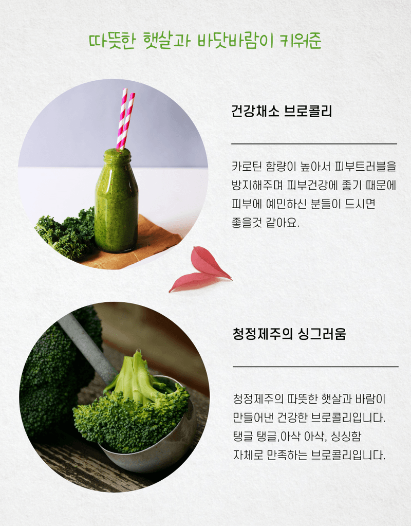 제주대정 방점순님의 장터 판매 상품 [제주브로콜리  5kg] 첨부 사진