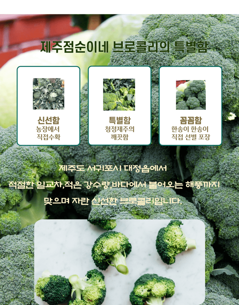 제주대정 방점순님의 장터 판매 상품 [제주브로콜리  5kg] 첨부 사진