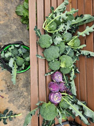 송희숙님의 기타작물 · 자유게시판 작성글 사진