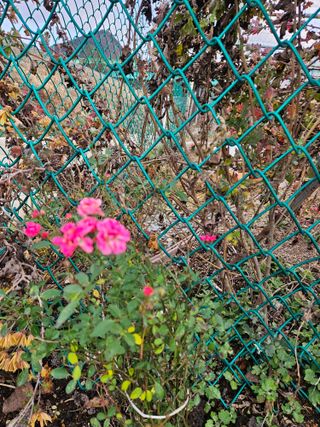 송희숙님의 기타작물 · 자유게시판 작성글 사진