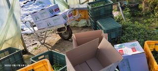 이동훈님의 고추 · 영농일지 작성글 사진