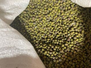 정연희님의 작성글 사진