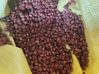 정연희님의 작성글 사진