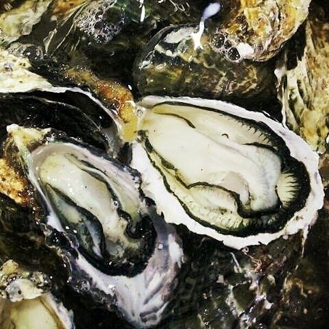 장터 상품 [지금 통영굴이  제일  맛이  꿀맛입니다] 썸네일