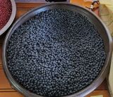 팜모닝 팜모닝공식·광고승인요청 게시글 이미지