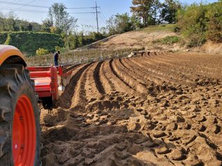 팜모닝회원논산농부님의 팜모닝공식 · 광고승인요청 작성글 사진