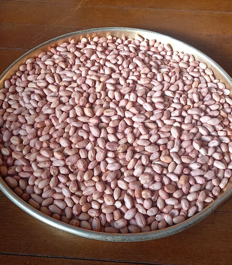 장만월님의 장터 판매 상품 [토종땅콩 1kg(판매완료)] 첨부 사진