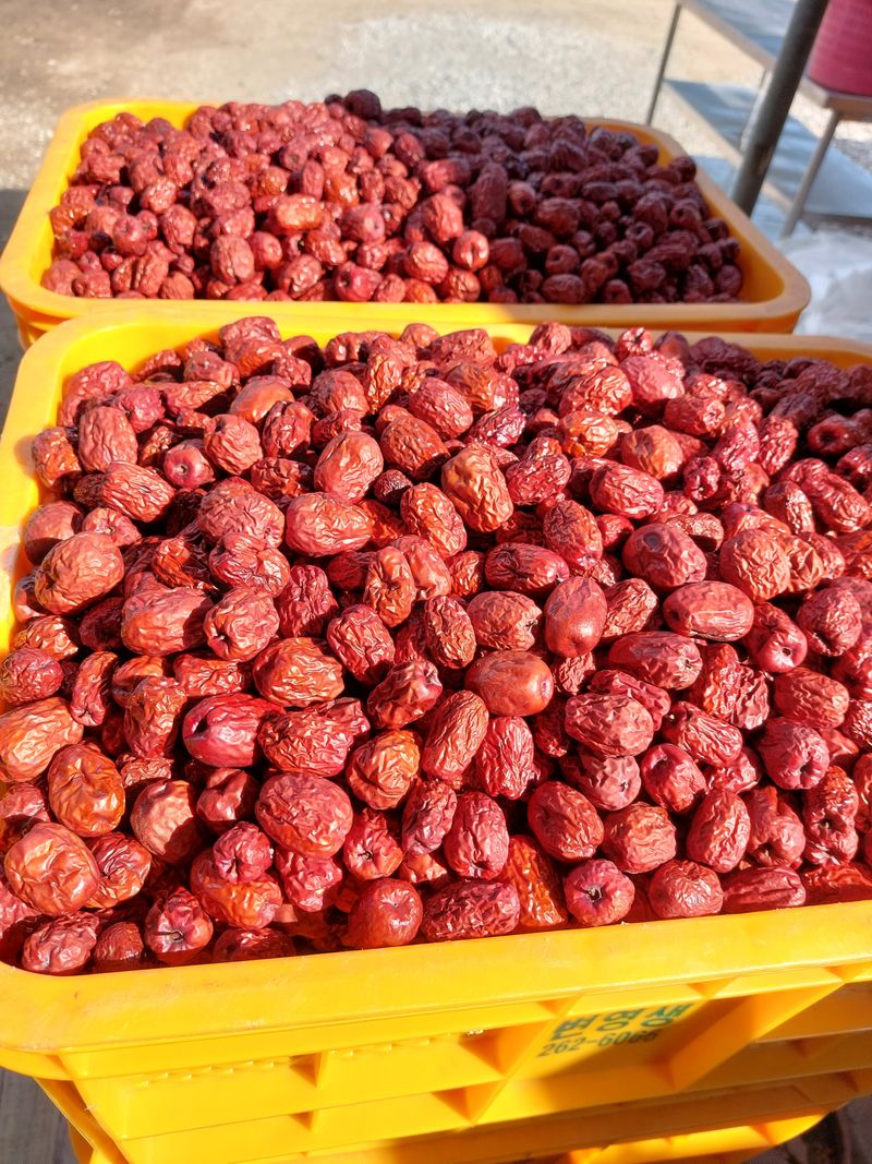 손윤영/수채화농원님의 장터 판매 상품 [별초1kg(수채화농원-쥬쥬팜)] 첨부 사진