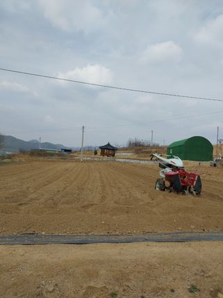 김동주님의 농사, 무엇이든 물어보세요! · 참여글 작성글 사진
