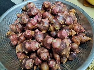 장은주님의 자유주제 · 자유게시판 작성글 사진