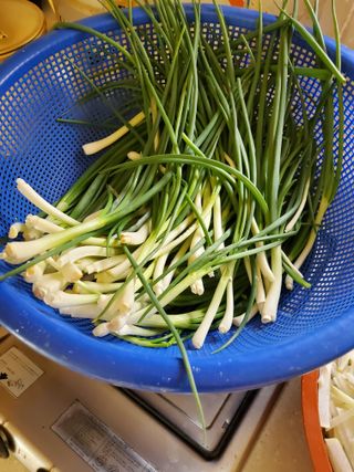 김윤철님의 우리동네 · 동네수다 작성글 사진