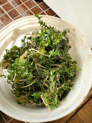 김윤철님의 우리동네 · 동네수다 작성글 사진