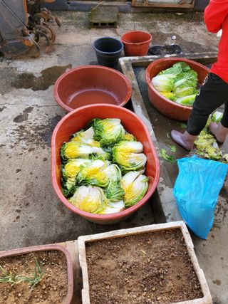 김윤철님의 우리동네 · 동네수다 작성글 사진