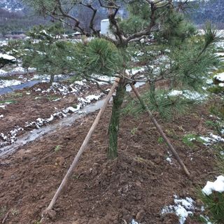 들깨15206님의 기타작물 · 영농일지 작성글 사진