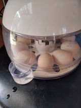 팜모닝 자유주제·자유게시판 게시글 이미지