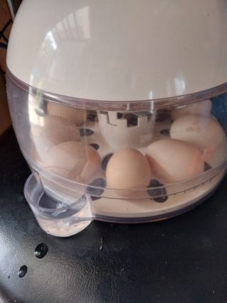 오영균 님의 자유주제 · 자유게시판 작성글 사진