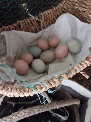 오영균 님의 자유주제 · 자유게시판 작성글 사진